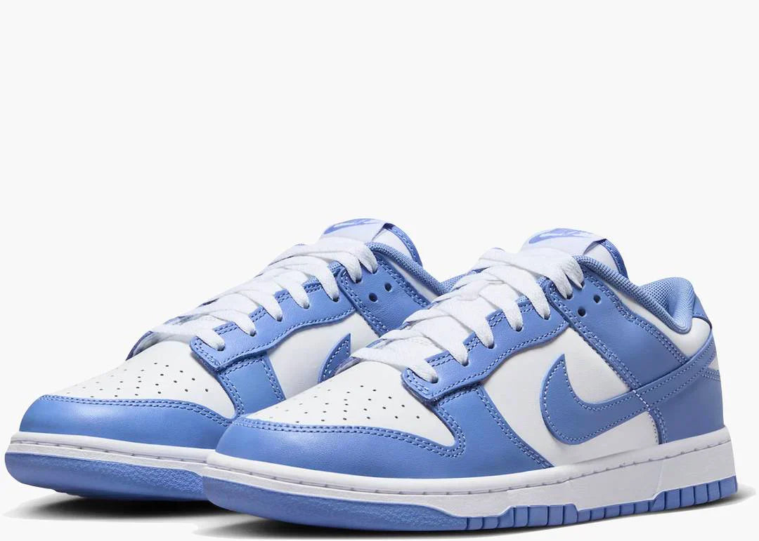 Nike Dunk Low Polar Blue